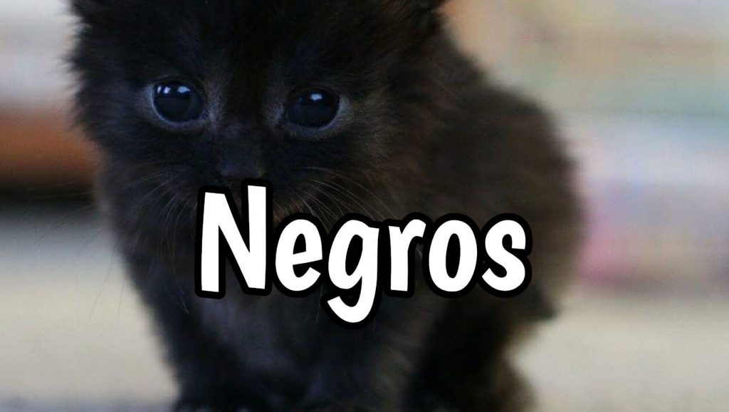 Nombres para Negros | 【 Cortos y Originales 】· 2022